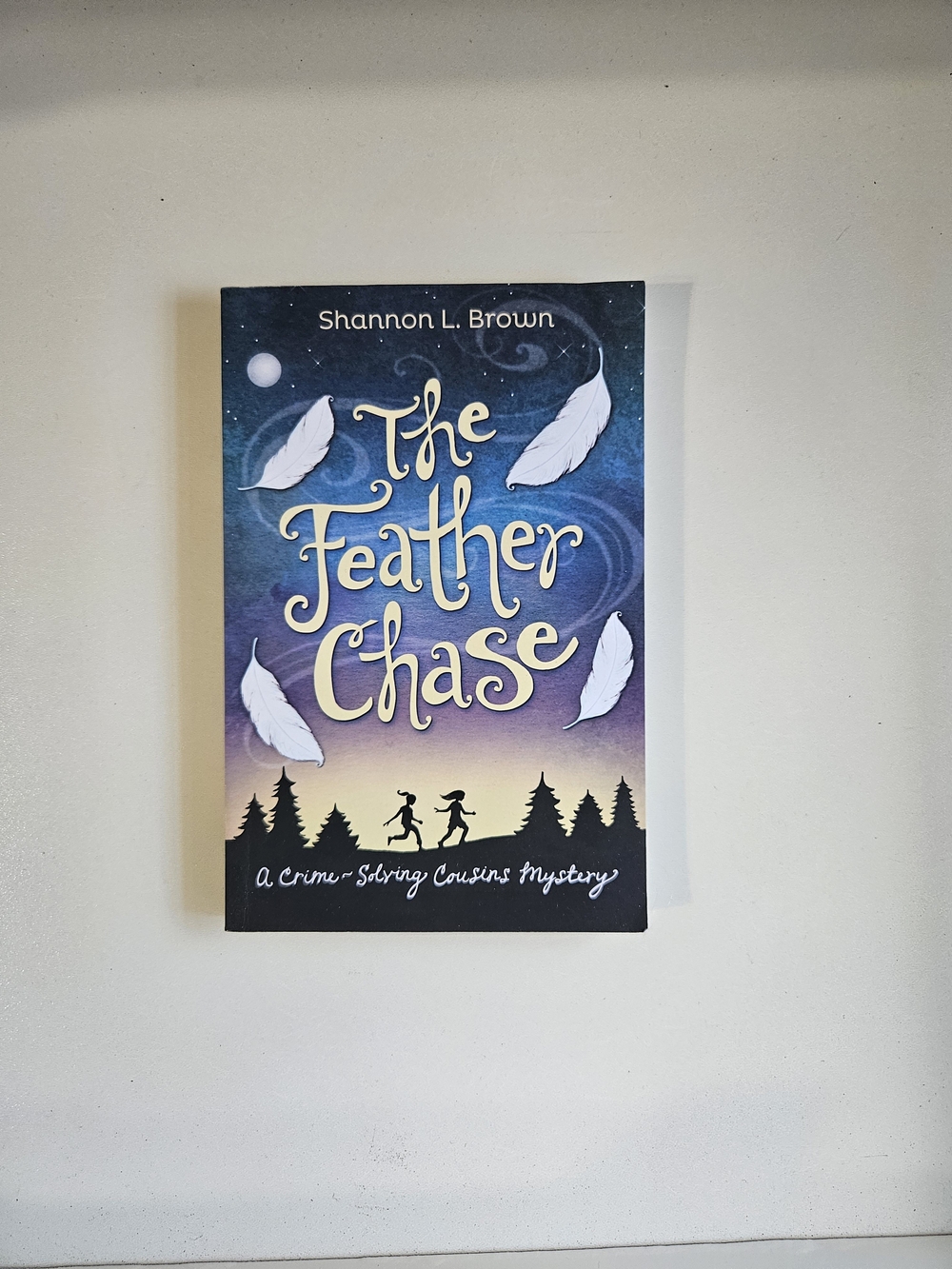 The Feather Chase by Shannon L. Brown - Paperback